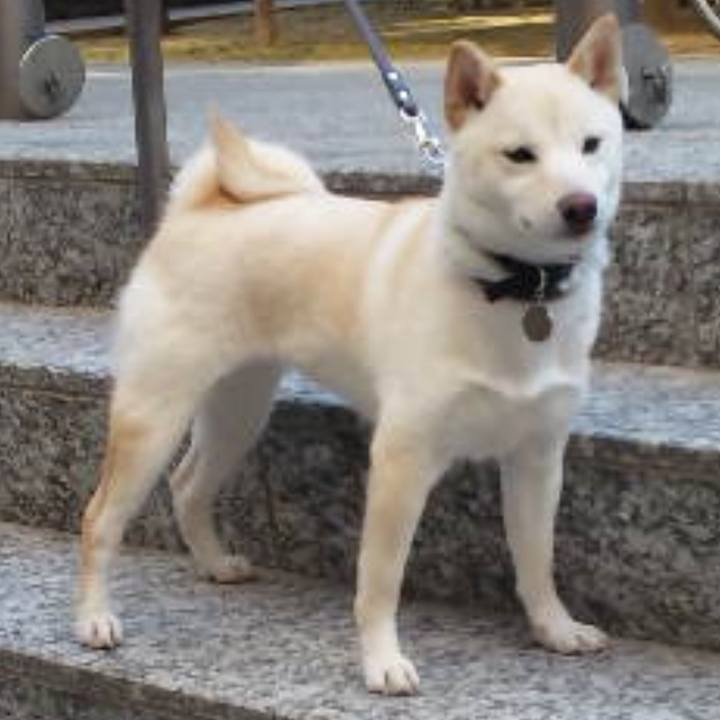 9ef7364f d67f 4b82 896f 5ed6b520eed9 1758629886088