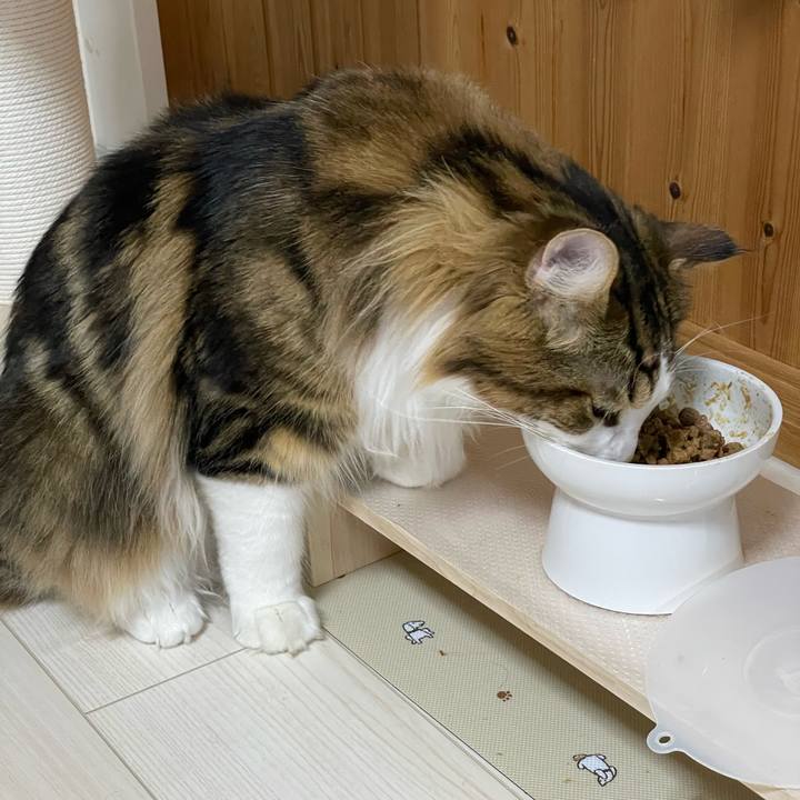 9ef73a7c c91d 43fd 9809 78b5b7a3972f 1651142417862