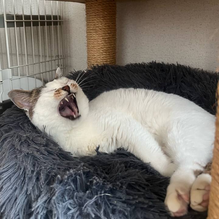 9ef74652 580c 40e9 b8d2 3d445222d987 1774505911848