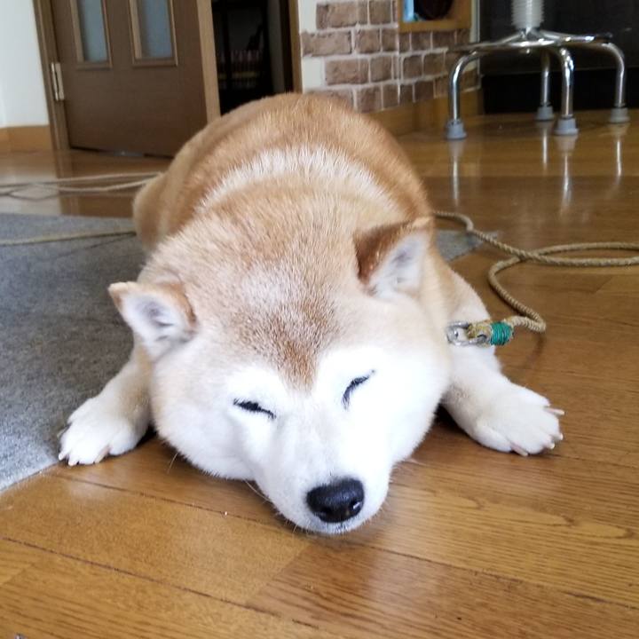 9ef77396 4025 46a1 89b3 566dd0785571 1715897885743