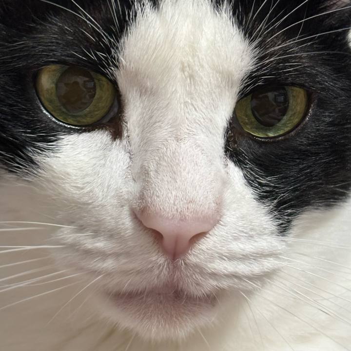 9ef7841f faa7 4362 bd1c 119eb85d9598 1766589143056