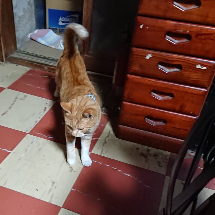 9ef78544 977e 4b6d b62d 6f5a62d2393f 1572725075706