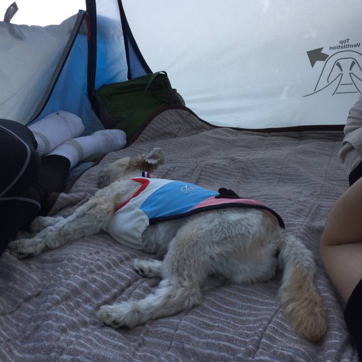 9ef78956 efc5 49a7 a457 ffc2dae7b337 1526803201129