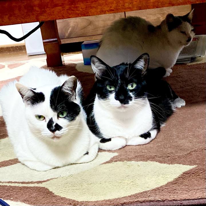 9ef832e6 0ea4 40f4 9556 de6ad2497fd8 1643955122577