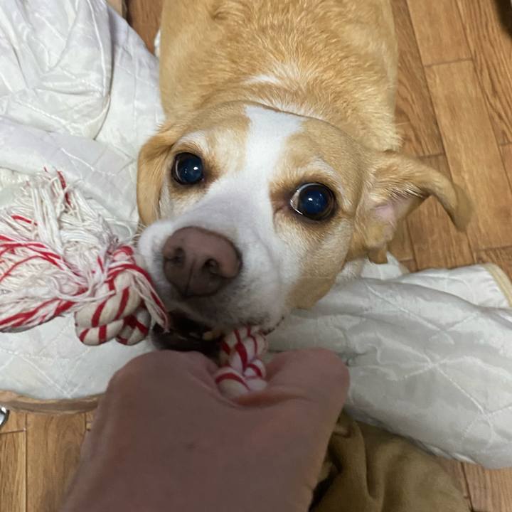 9ef8529c d64b 461a beb3 da783ee4e8f8 1661411193466