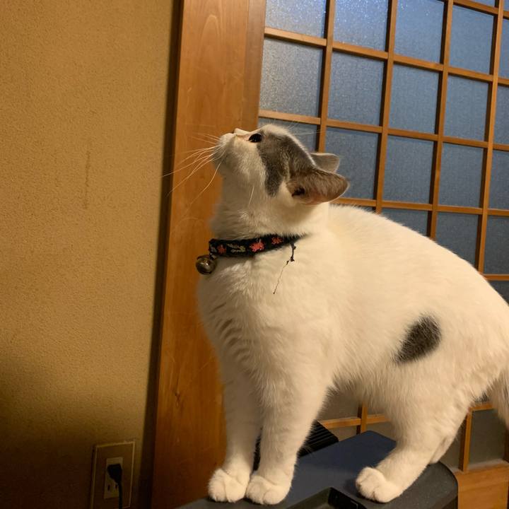 9ef86638 fef0 4cee 85d4 d16eedab4eb1 1604235970825