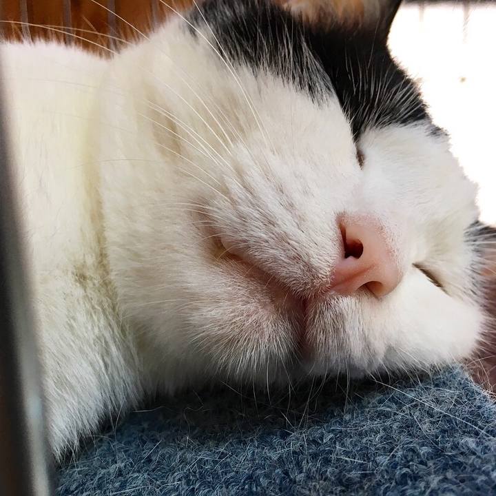 9ef86bca 43ce 4fd8 a171 5f999ef325b4 1532878078645