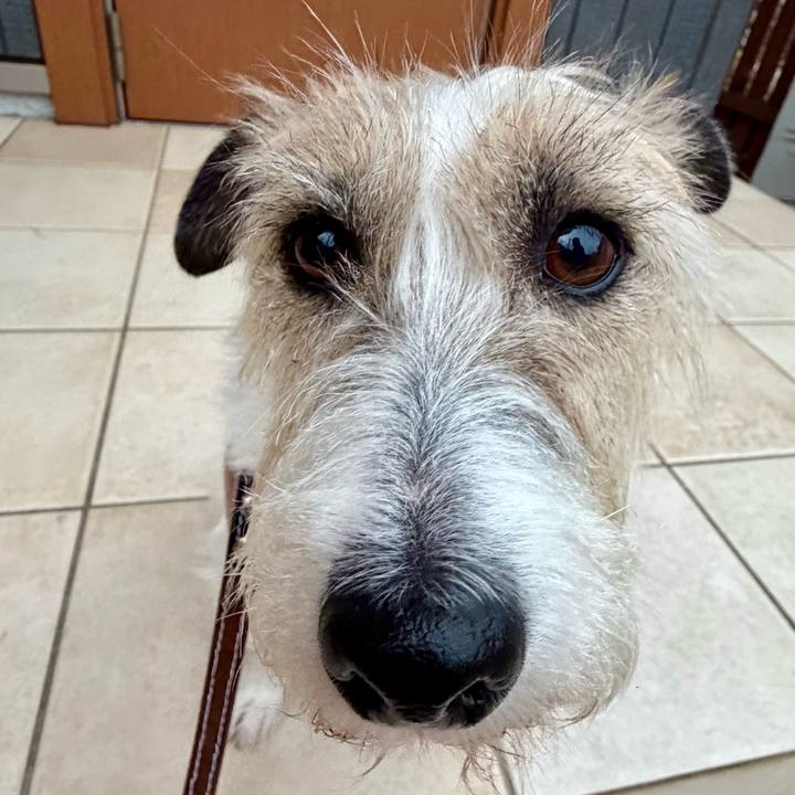 9ef882e5 564f 4582 b1ae 29cfb97dd1ef 1770429420543