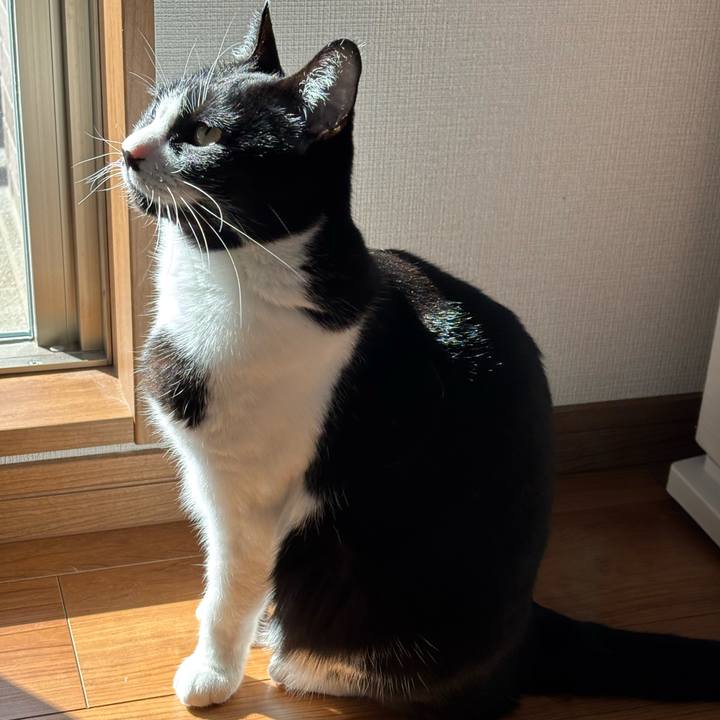 9ef8c006 e9b0 43b4 a2cd f58a1789de48 1771379558680