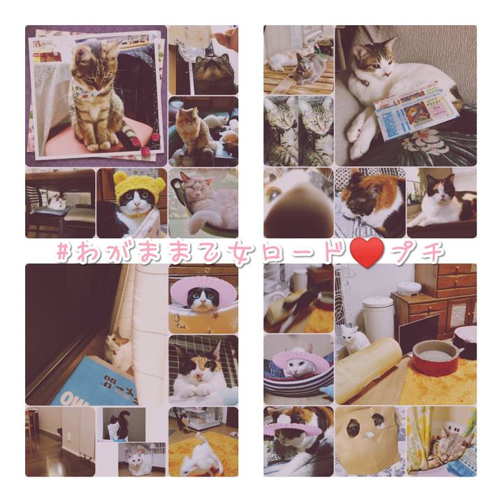 9ef8d9f1 fe63 483d b166 4fd588f1b340 1569589429419