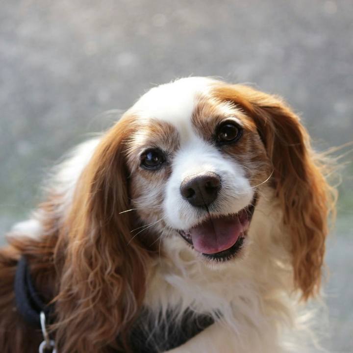 9ef908ba edfa 4df0 9b4c a666ddf85911 1623744830312