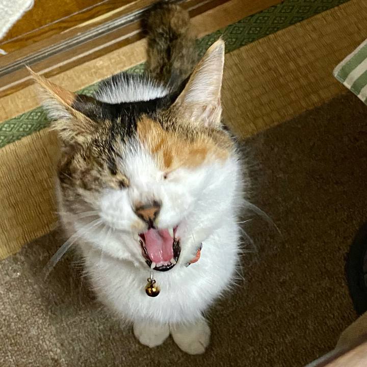 9ef90a97 1721 4087 9d81 48ad14320245 1644828267800