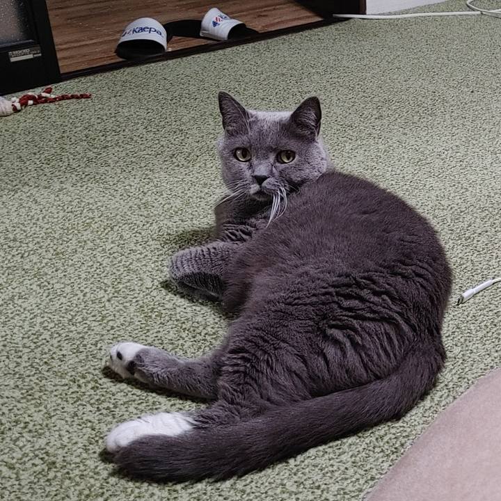 9ef96518 9bf6 4876 8bc3 a88120607a34 1738587272192