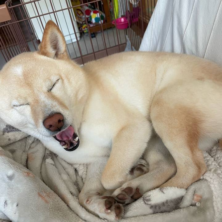 9ef96886 582f 46e9 93af ccf1d7b4ad34 1675301629266