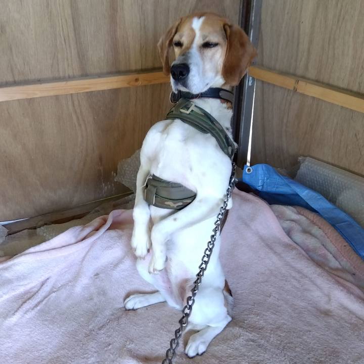 9ef9bcb0 350b 4e1c a1d3 9423eebe894a 1684669962762