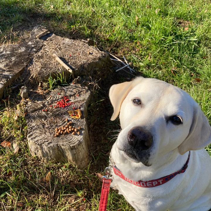 9ef9dfa6 7183 49a3 9083 78a76cc49b98 1733532565669