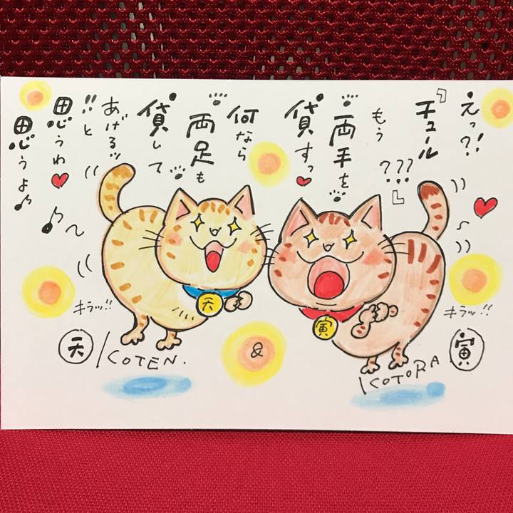 9ef9e5c5 5eb1 40d8 9263 c28af3f67979 1557410856089