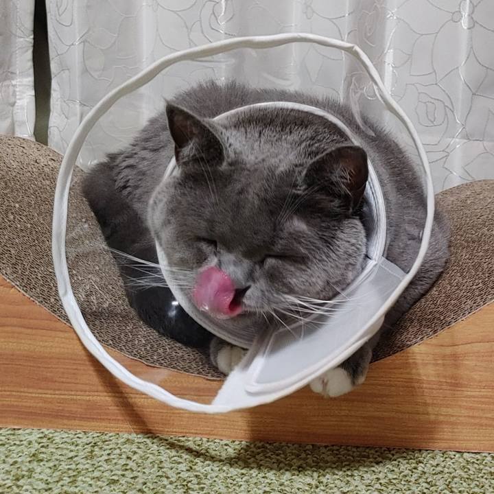 9efa0910 65dc 4dca b117 bea2922b9630 1631101019456