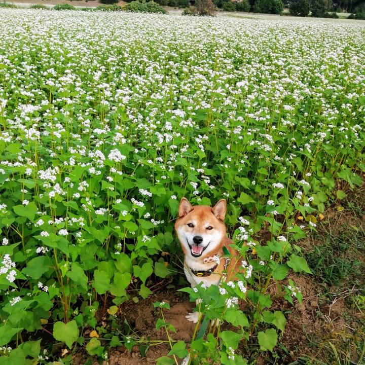 9efa0963 82cd 4312 ae1f bcda6dbf3f67 1632900192609