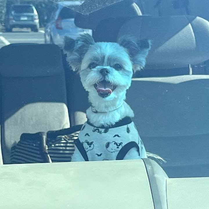 9efa39e6 d17a 47f1 bdbc 08a683149223 1636015242616