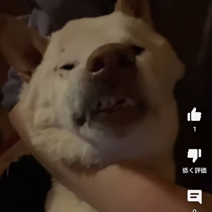 9efa3a2c 5197 4447 b0a7 81b411c12e39 1673180201253