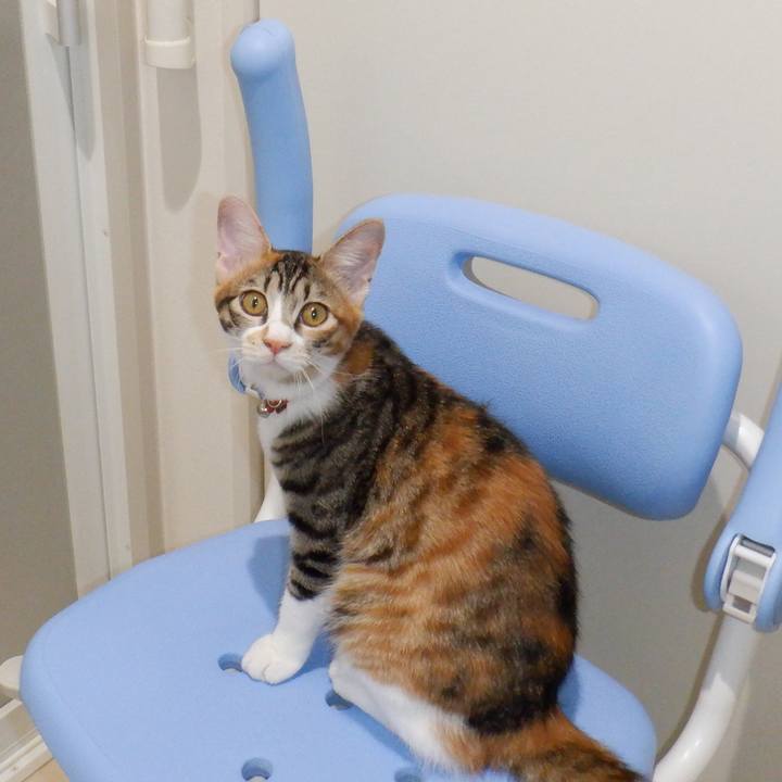 9efa579b 3427 424f 8afb 383aae357766 1633656765877