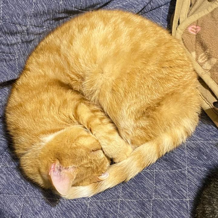 9efa5fc1 bb99 46d7 9b47 52a76aa0ce28 1640812328006