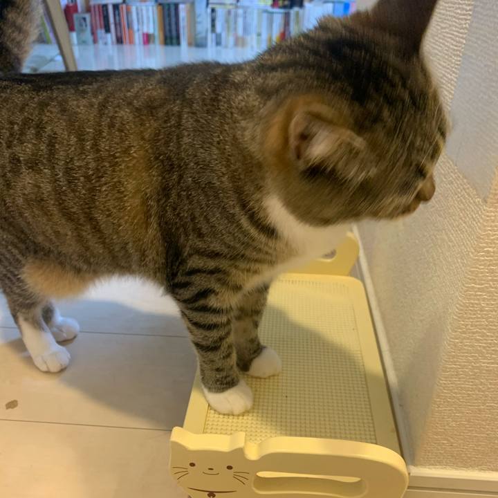 9efa647f a590 414b 8875 d4316df37b91 1652955137766