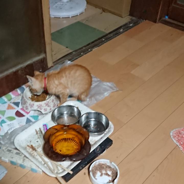 9efa6999 370f 4dc8 87c2 8bf04fe1092e 1629837288608