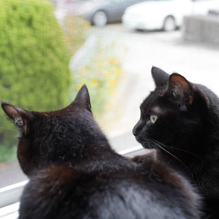 9efa714a acfd 4490 8e19 d35eb909442f 1566775407171