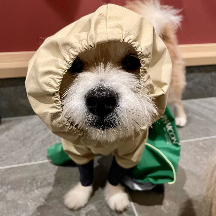 9efa7373 1be7 47bf a878 c56f4fd66624 1773832158866