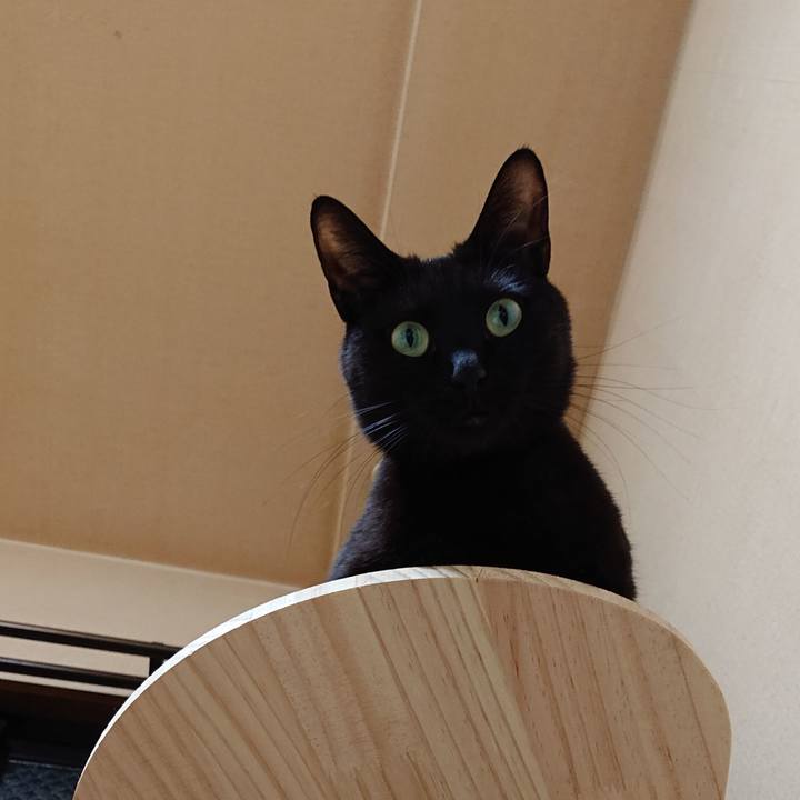 9efa73de 0f70 4103 a9ca 19e6edc906b7 1573268512700