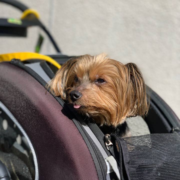 9efa7863 5327 4931 b39e d97c4e476677 1584425783195