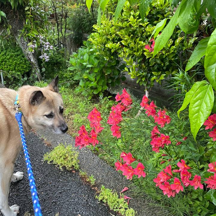 9efabff0 0e3c 49c8 932f 54c19bde716a 1652443854680