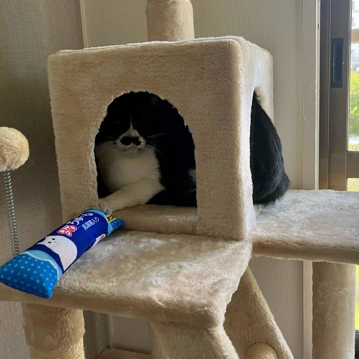 9efacf07 b5bb 45f2 af86 6ae8e152ddfc 1651625403857