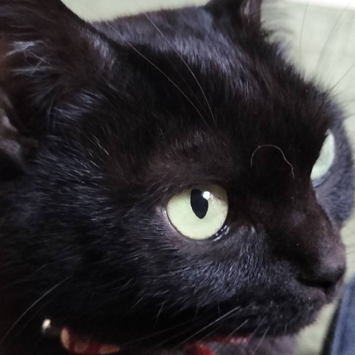 9efad040 5742 4945 b407 2e9e49816521 1645864402709