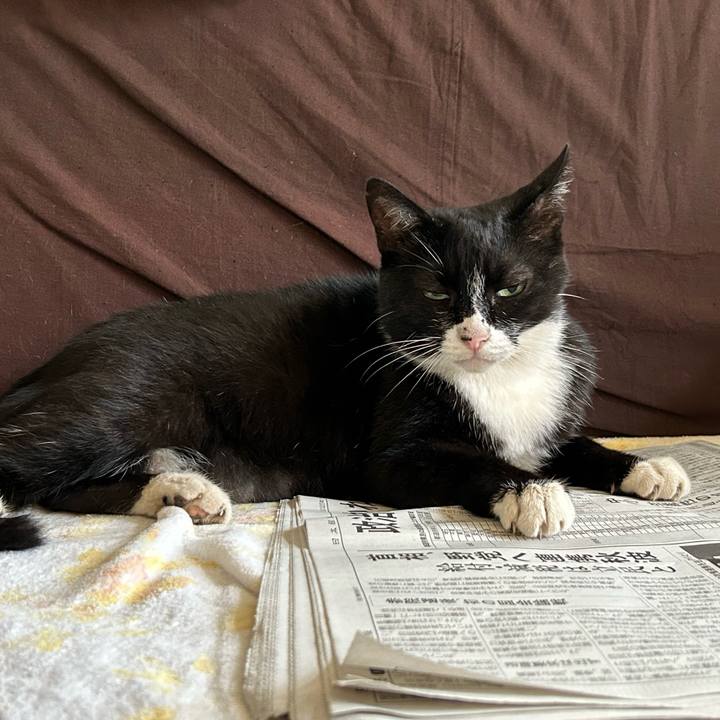 9efb3100 8610 4849 a13e 0fc3ebc6ce72 1754893077361