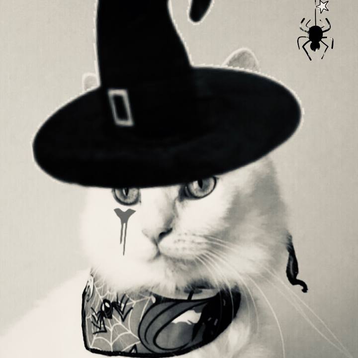 9efb3269 e43f 42a5 80ae 247cd312fd61 1572447653720