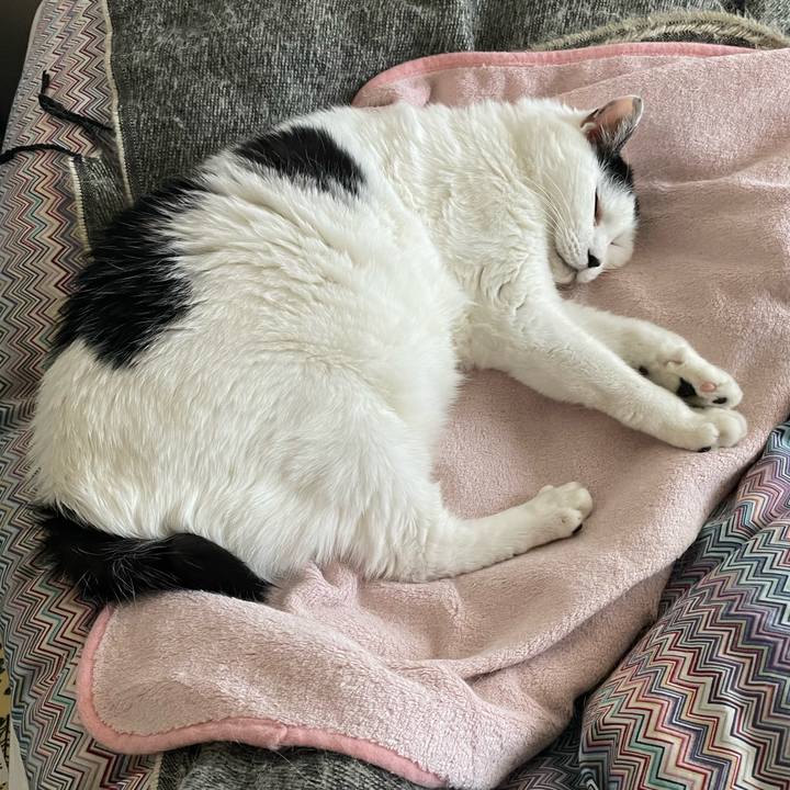 9efb3751 332f 4837 a5ac 2042aaea2361 1668382484604