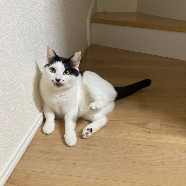 9efb3cb4 f05a 4693 8c06 f0cfe4216b0d 1775162976800