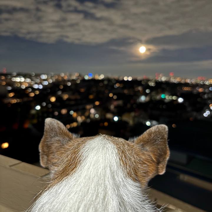 9efb4220 0d3c 444c 8ebd 44d825376bd0 1762471246537