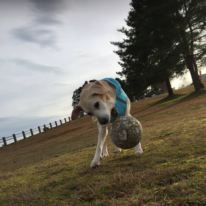 9efb4ecf 3934 4fb0 8477 faad7906ab07 1544943684338