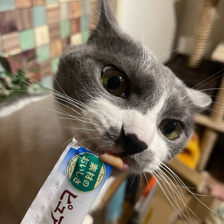 9efb4f03 05ab 4328 a5d0 a2e41c2176da 1702970980703