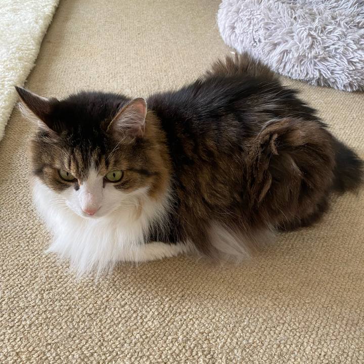 9efb5954 c4ab 4480 b17e 34936e7628bd 1697184135775