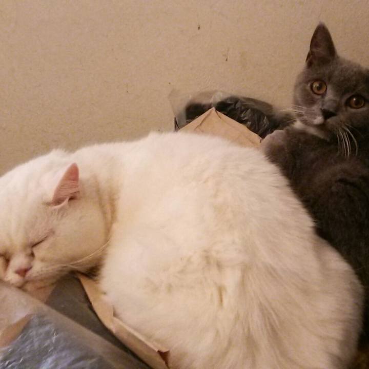 9efb7b6e 905c 49b9 99d0 48685012e566 1540016612212