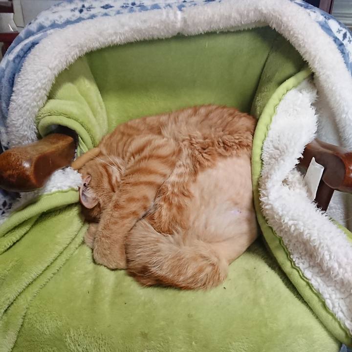 9efbb6a9 f791 4611 996d 9556ab91c32f 1655250776288