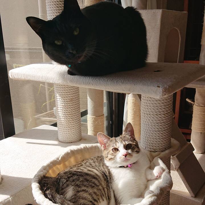 9efbc145 72b2 44d0 b218 d07b8b38984c 1548472099893