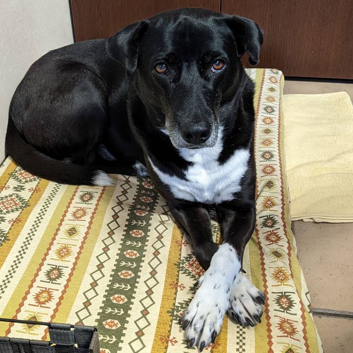 9efbc704 e5dc 4abf ad67 79c38b673ce5 1667296665219