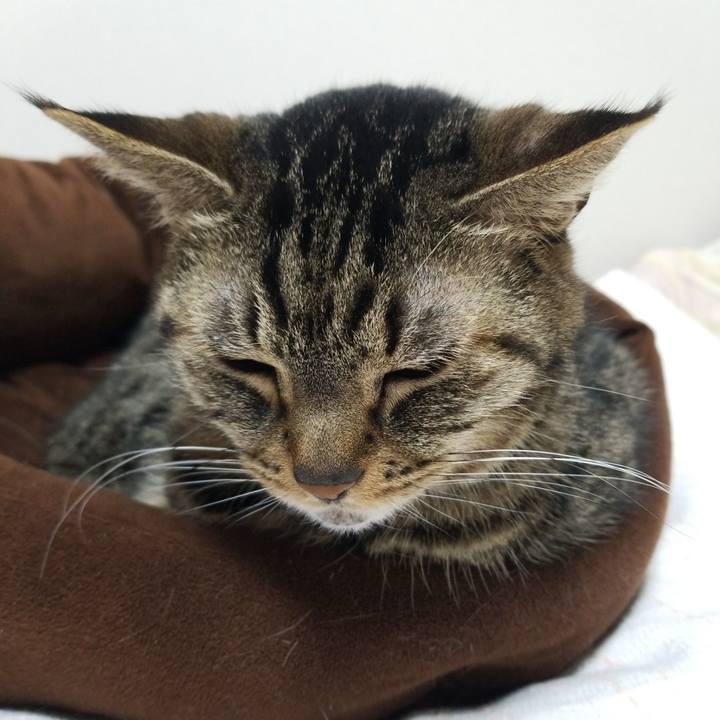 9efc287f b037 481d b758 4fd2d908d325 1585258508692