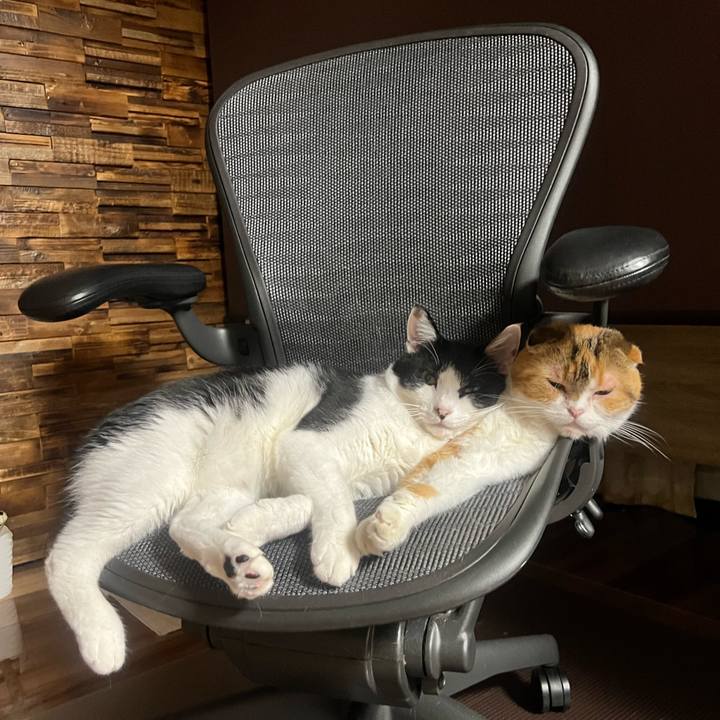 9efc306a 39f6 4148 ace6 4abbb36cb1c5 1695048513695